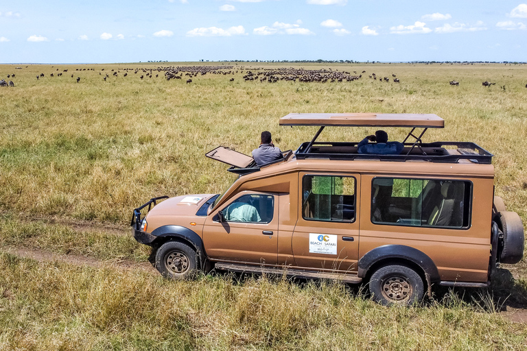 Von Sansibar aus: 4-tägige Safari in der Serengeti mit FlügenAb Sansibar: 4-tägige Serengeti Park Safari mit Flug