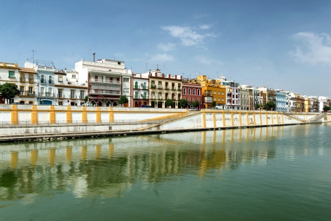Desde Málaga: Excursión de un día a Sevilla con visita guiada a pie por la ciudadDesde Torremolinos: Excursión a Sevilla