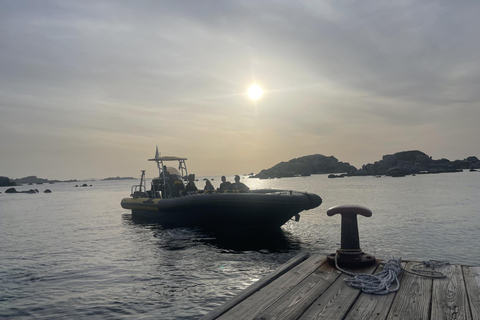 Porto-Vecchio: Crucero nocturno con baño y aperitivo