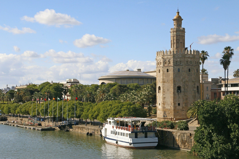 Da Malaga: tour privato di Siviglia con Alcazar e Cattedrale