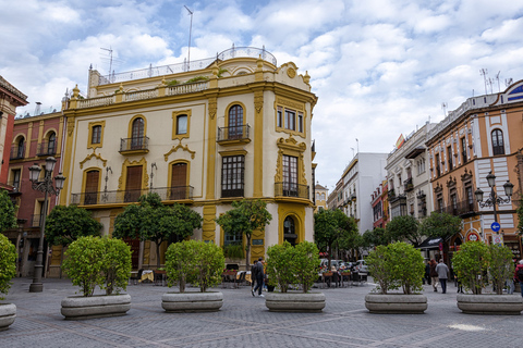 Från Malaga: Privat tur i Sevilla med Alcazar och katedralen