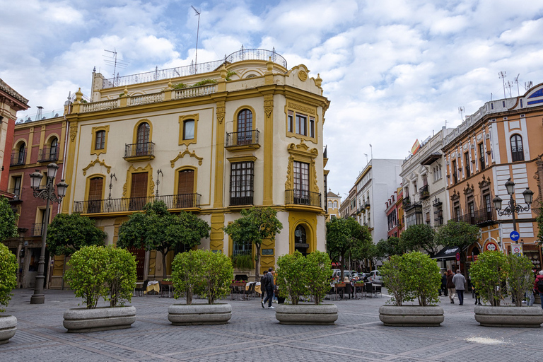 Da Malaga: tour privato di Siviglia con Alcazar e Cattedrale