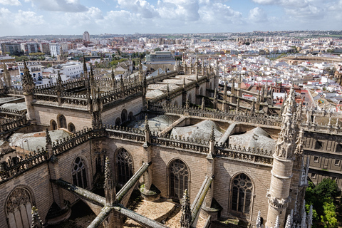 De Málaga: excursão privada a Sevilha com Alcazar e Catedral