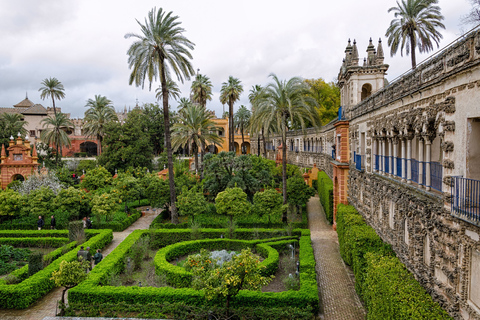 Från Malaga: Privat tur i Sevilla med Alcazar och katedralen