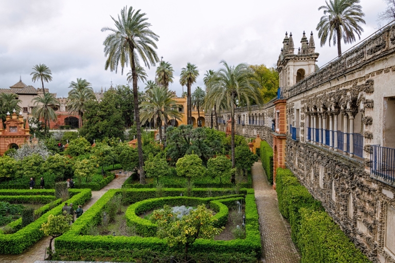 Desde Málaga: Visita Privada Sevilla-Real Alcázar-Catedral