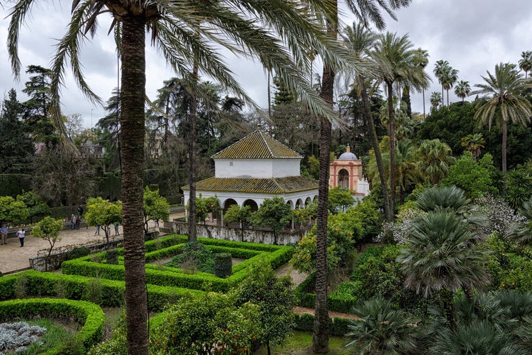 Från Malaga: Privat tur i Sevilla med Alcazar och katedralen