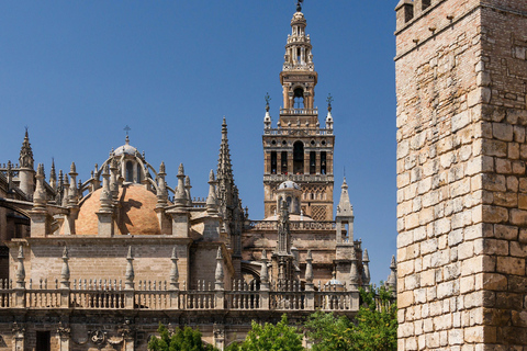 Van Malaga: privétour Sevilla-Real Alcazar-kathedraal