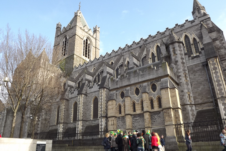 Dublin : Visite à pied des points forts et des coins cachés