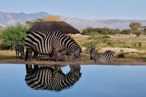 Van Zanzibar: 2-daagse safari naar de Ngorongoro-krater