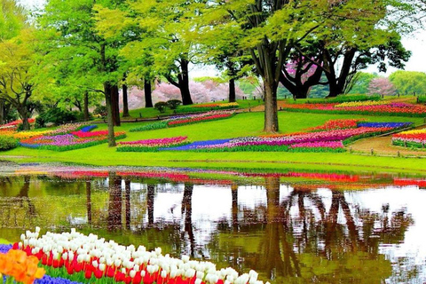 From Amsterdam: Private Keukenhof and Tulip Experience Tour