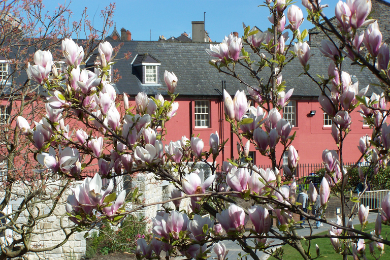 Dublin: Highlights and Hidden Corners Walking Tour