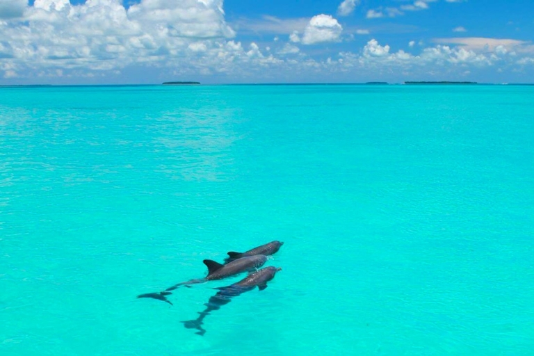 Ab Miami: Tour nach Key West mit WassersportaktivitätenKey West: Tagestour mit 3 h Schnorcheln & Margaritas