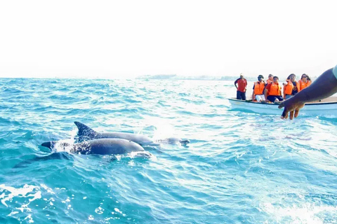 Desde Miami: excursión a Cayo Hueso con deportes acuáticosTour de día completo con barco con fondo de cristal