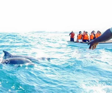 Miami: Key West Tour with Dolphin Watch or Snorkel Option