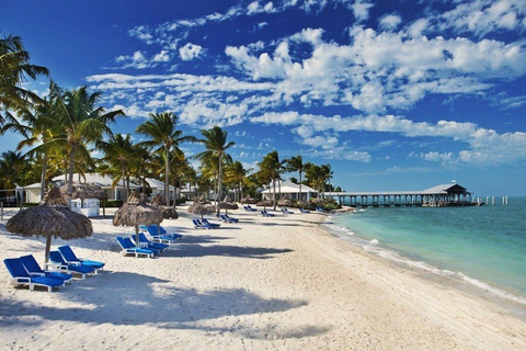 Ab Miami: Tour nach Key West mit WassersportaktivitätenGanztägige Tour mit Glasbodenbootfahrt