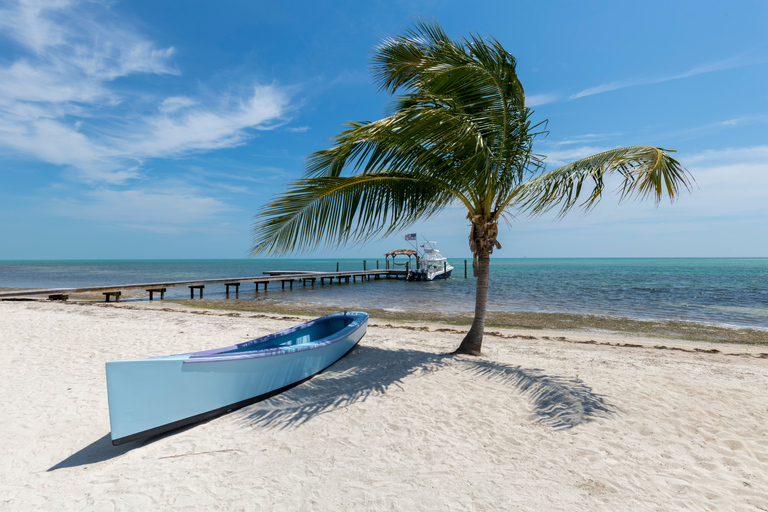 Van Miami: Key West Tour met watersportactiviteitenTour van een hele dag met een boot met glazen bodem