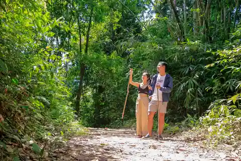 Khao Lak: Gita notturna al lago Cheow Lan con assistenza agli elefanti