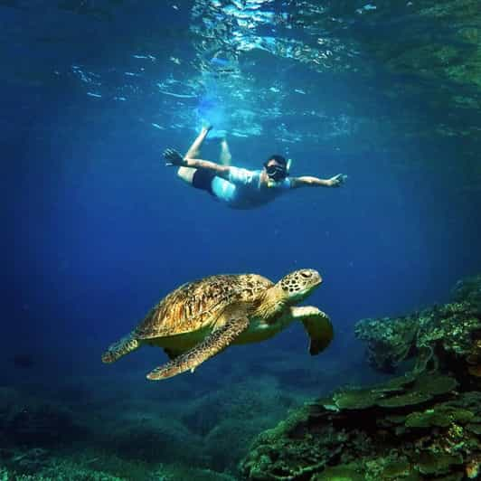 Bali : Nusa Penida Island Day Tour With Snorkeling | GetYourGuide