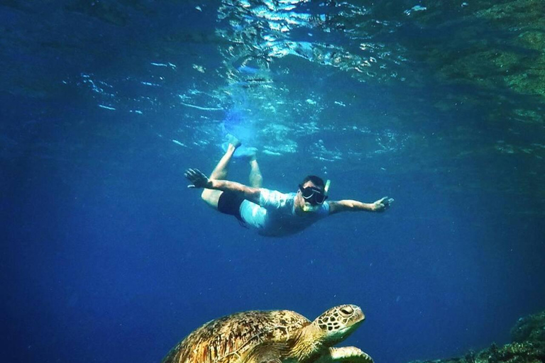 Nusa Penida Snorkeling & Scenic Island Tour from Bali Pick up from accommodation and port in nusa penida.