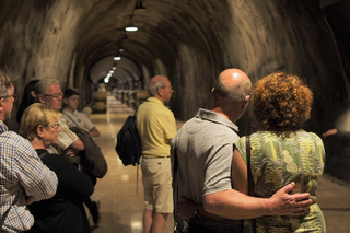 Depuis le lac de Garde : Excursion guidée avec déjeuner et dégustation de vins de Valpolicella