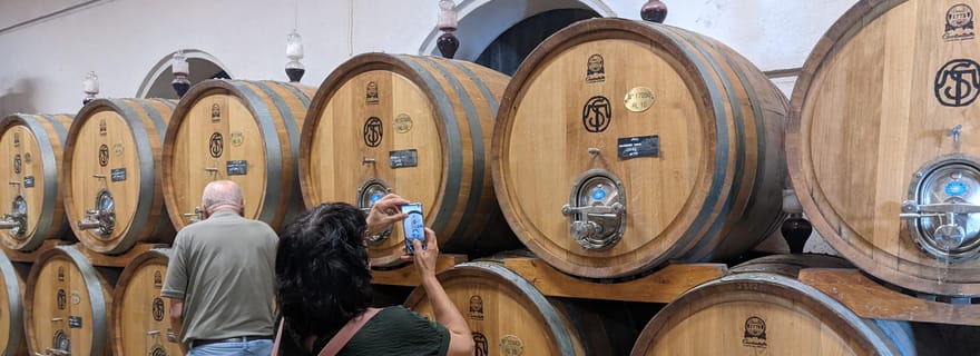 Depuis le lac de Garde : Excursion guidée avec déjeuner et dégustation de vins de Valpolicella