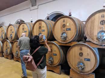 Vom Gardasee aus: Valpolicella Wein & Mittagessen Geführter Ausflug