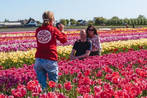 Lisse: 'Tulip Experience' tulip fields and museum
