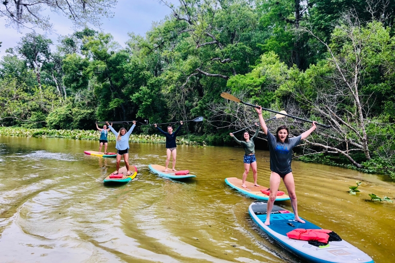 Longwood: Excursión guiada en Paddleboard por el río Wekiva