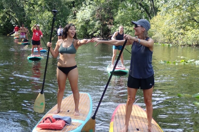 Longwood: Guided Wekiva River Paddleboarding Tour