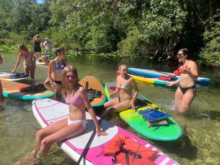 Longwood Guided Wekiva River Paddleboarding Tour GetYourGuide