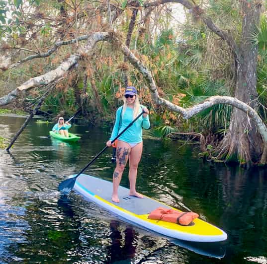 Longwood: Guided Wekiva River Paddleboarding Tour | GetYourGuide