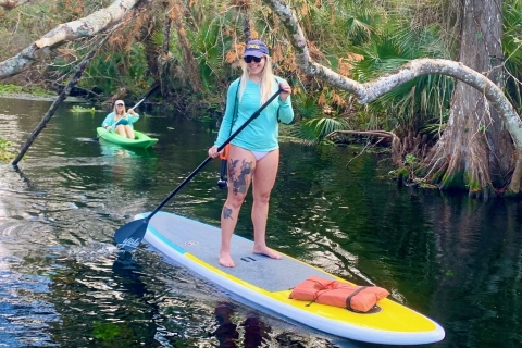 Longwood: Geführte Wekiva River Paddleboarding Tour
