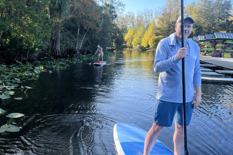Longwood: wycieczka z przewodnikiem po rzece Wekiva Paddleboarding