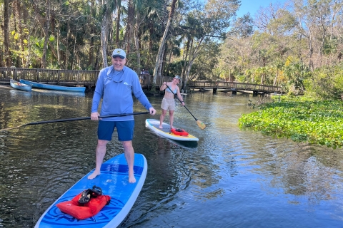 Longwood: Excursión guiada en Paddleboard por el río Wekiva
