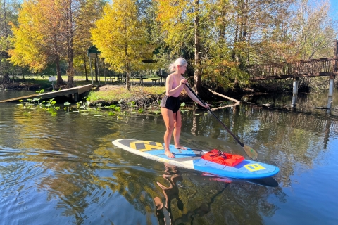 Longwood : Excursion guidée en paddleboard sur la rivière WekivaLongwood : Visite guidée en paddleboard sur la rivière Wekiva