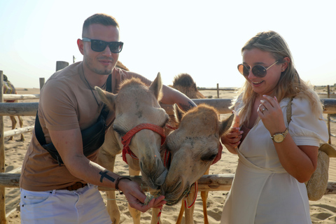 From Dubai: Red Dunes and Camel Safari with Overnight Camp Shared Tour with Private Tent