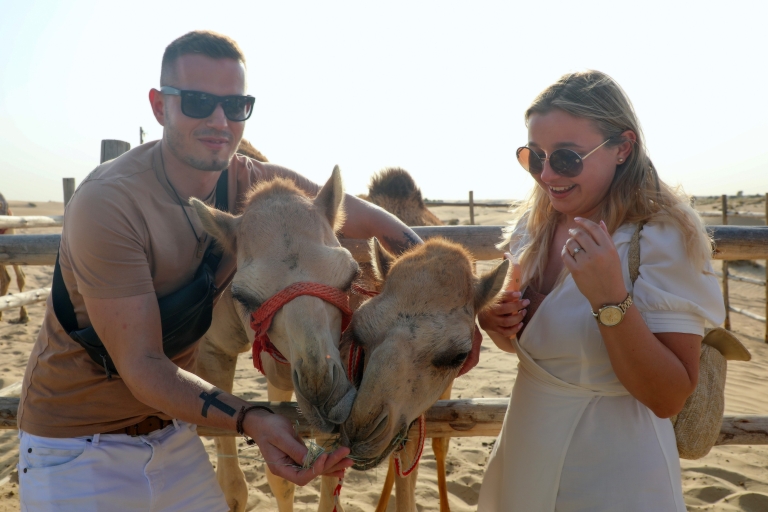 From Dubai: Red Dunes and Camel Safari with Overnight Camp Shared Tour with Private Tent