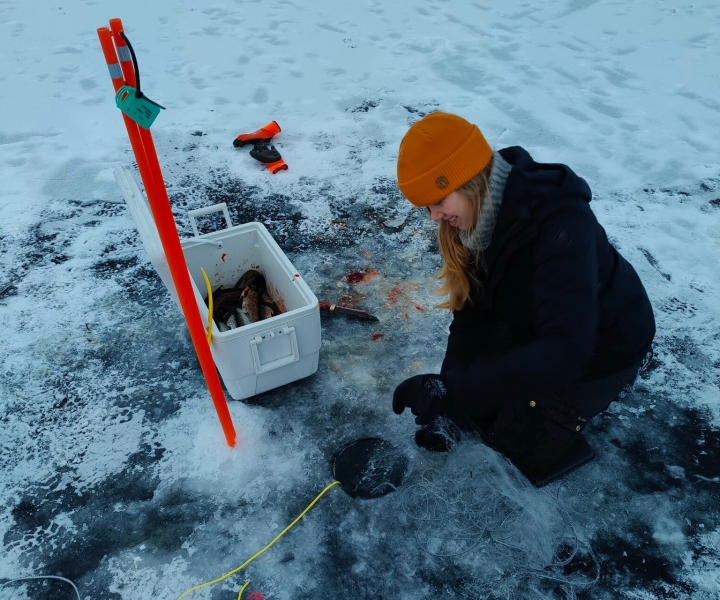 Tradizionale pesca invernale a Ivalo