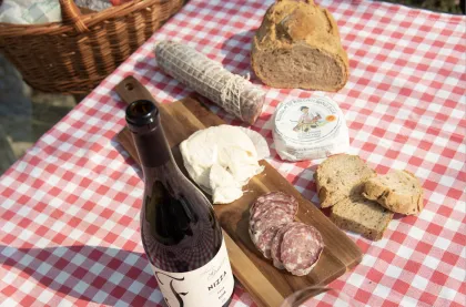 Monferrato: Weintour und Picknick in den Weinbergen