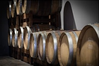 Monferrato, Wine Tour & Picnic in the Vineyards - Housity