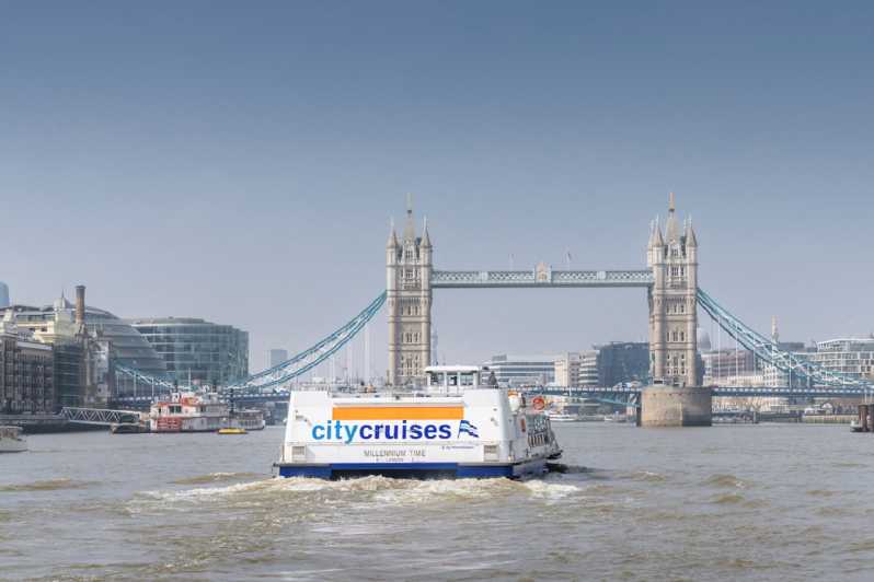 Лондон: обзорный круиз по реке Темзе Hop-On Hop-Off