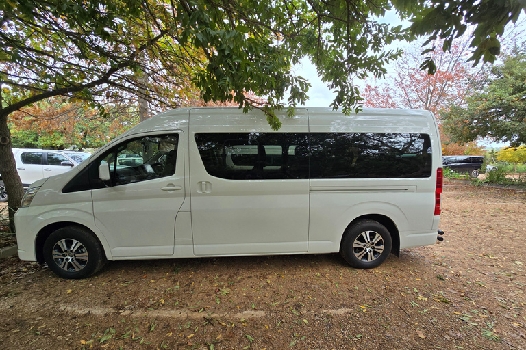 Cape Town: Cruise Passengers sunset Safari & Wine Tour