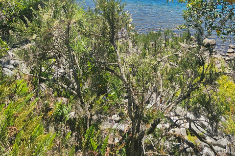 Private boat ride on Lake Lacar in San Martin de los Andes