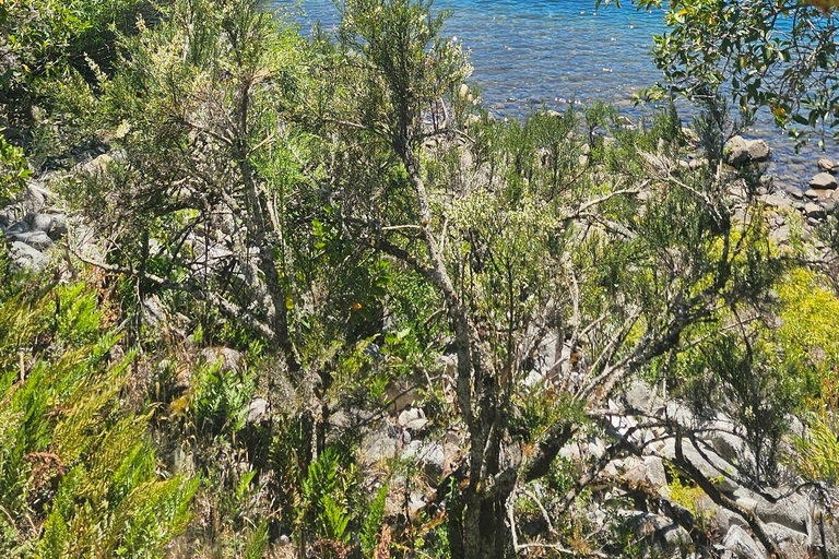 Private boat ride on Lake Lacar in San Martin de los Andes