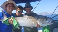 Kissamos, Voyage de pêche privée avec des collations et des boissons - Hizvo