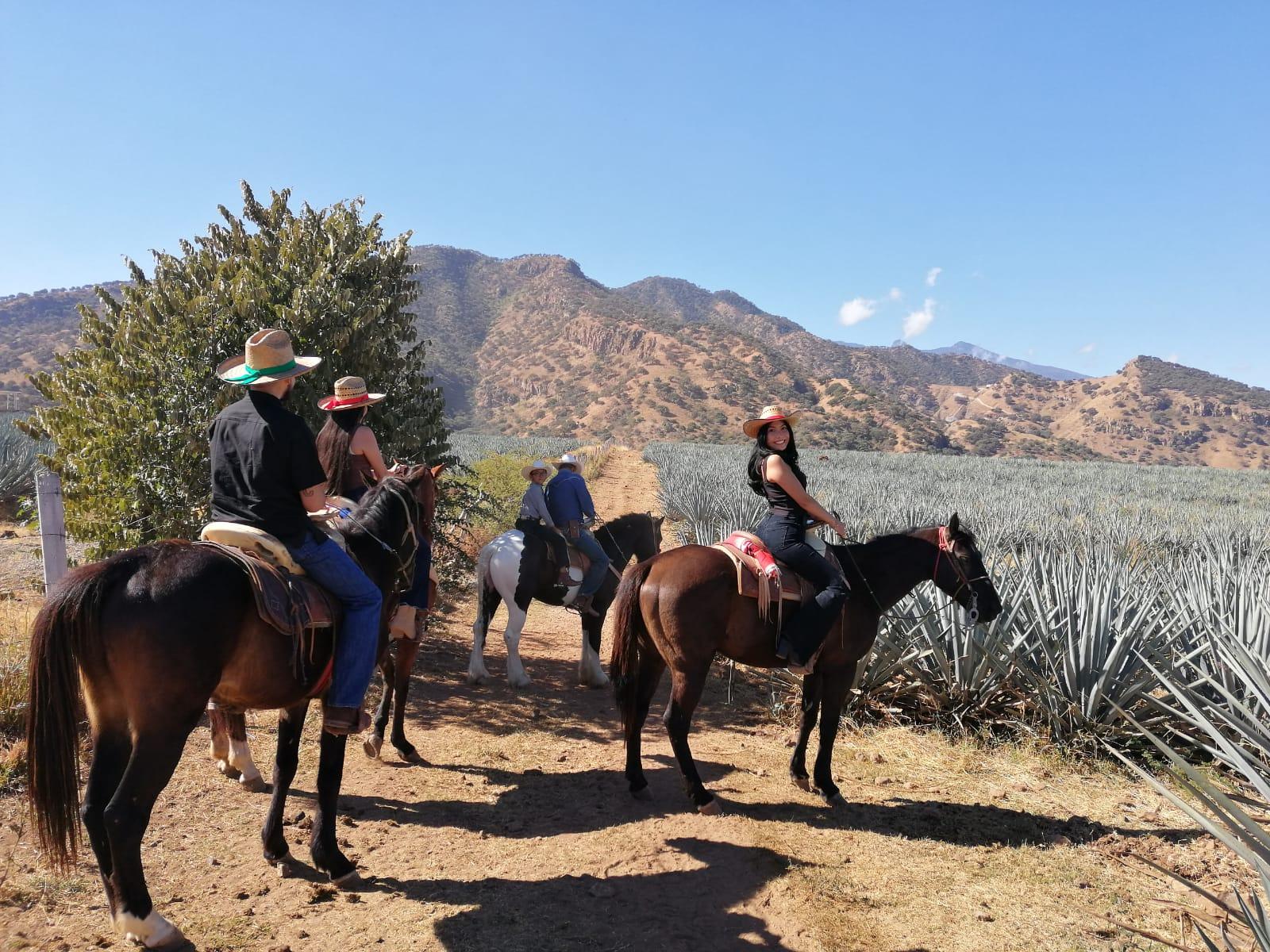 Guadalajara: Reiten auf der Tequila-Route mit Verkostungen