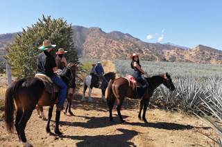 Rutas a caballo en Guadalajara (México)