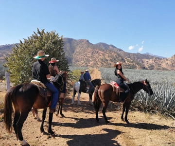 Guadalajara: Horse Riding on the Tequila Route with Tastings