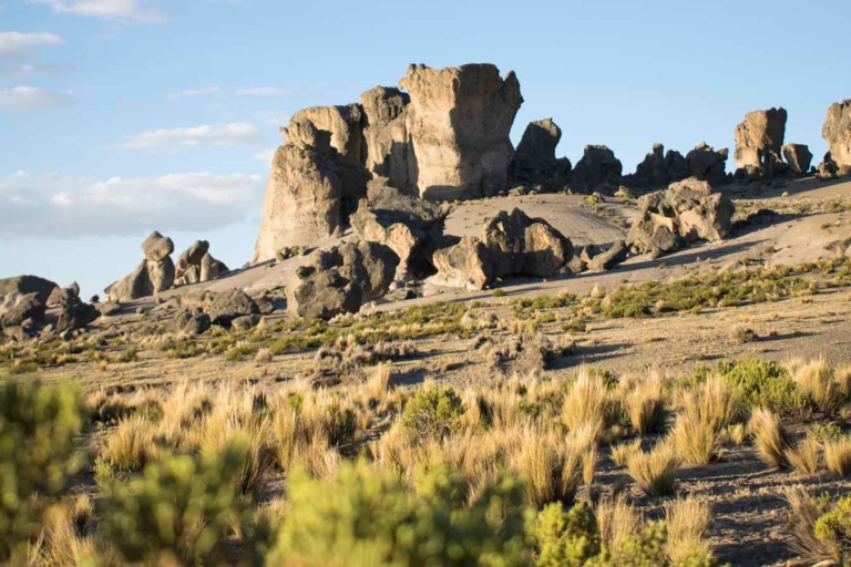 Depuis Arequipa : Cascade de Pillones et forêt de pierre