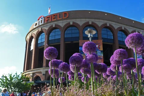 NYC: Wycieczka po stadionie z przewodnikiem Citi Field Insider